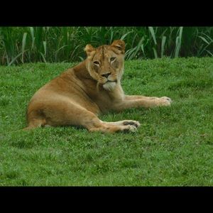 Meet your Posher, Demetrius